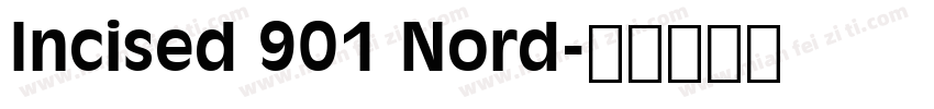 Incised 901 Nord字体转换